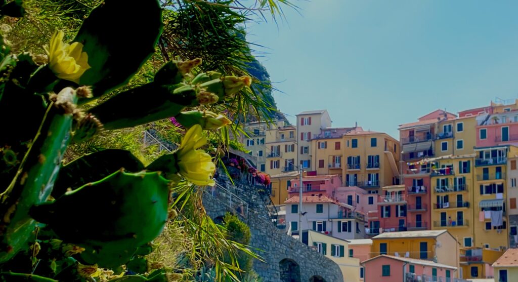 Encuentra tus raíces en Liguria
